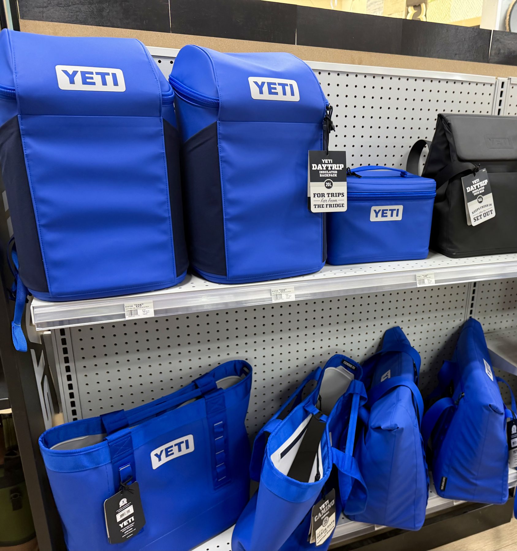 Display shelf featuring blue and black YETI Daytrip insulated backpacks, lunch boxes, and Camino carryall tote bags at Hessler Paint & Hardware in Delray Beach, Florida.