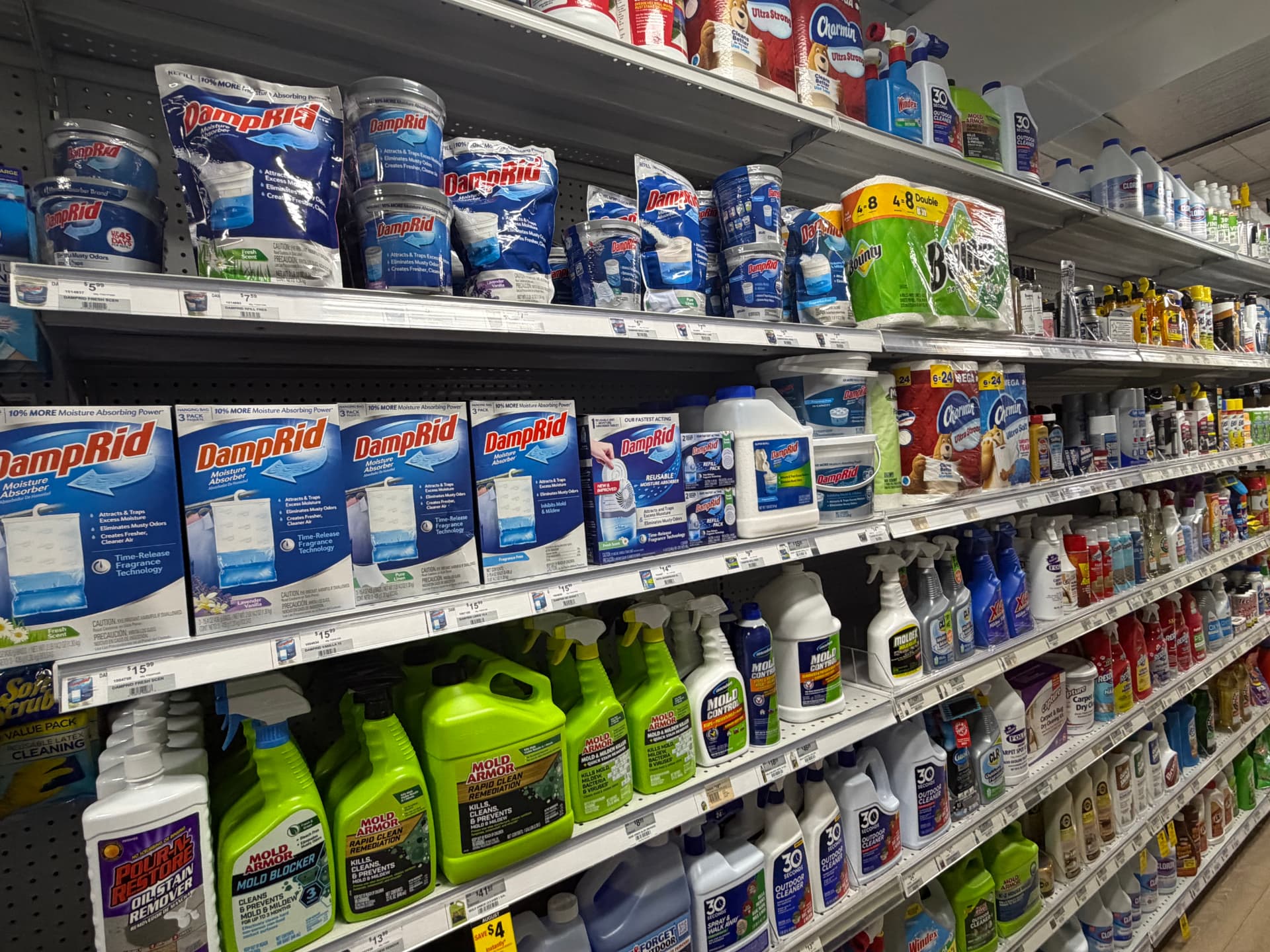 DampRid moisture absorbers and Mold Armor mildew removers on shelves